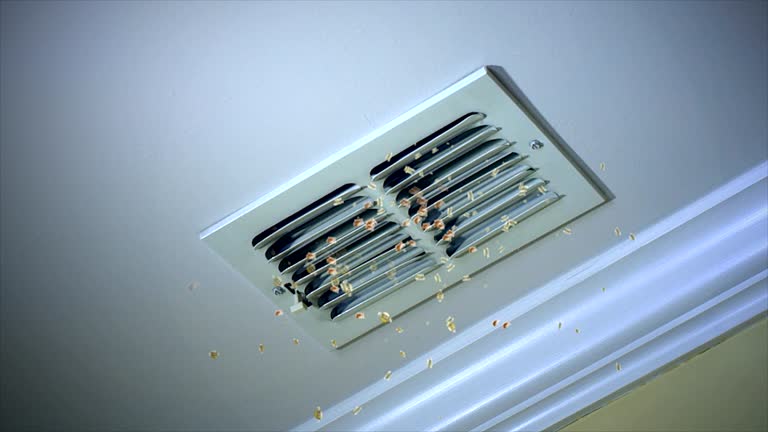 Best HVAC Maintenance and Cleaning  in Forest Hill, TX