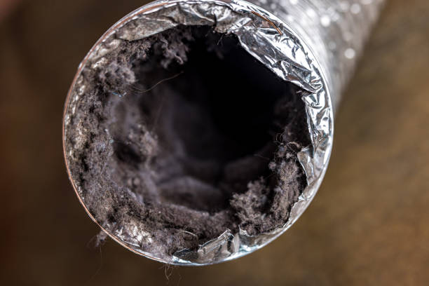 Best Affordable Duct Cleaning Services  in Forest Hill, TX